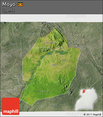 Satellite 3D Map of Moyo, semi-desaturated