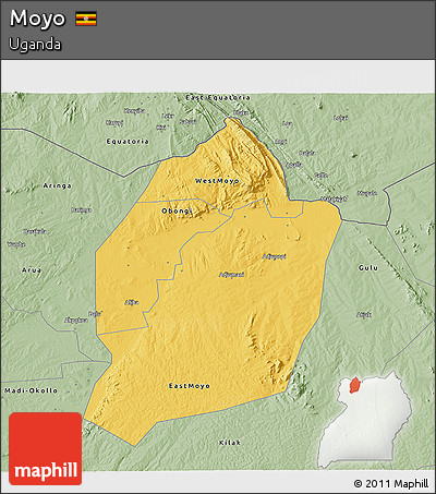 Savanna Style 3D Map of Moyo
