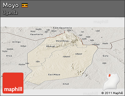 Shaded Relief Panoramic Map of Moyo, semi-desaturated