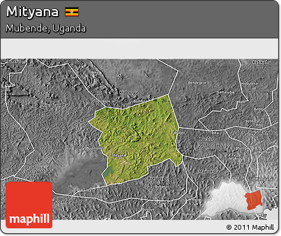 Satellite 3D Map of Mityana, desaturated