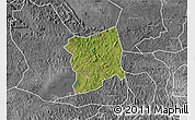 Satellite Map of Mityana, desaturated