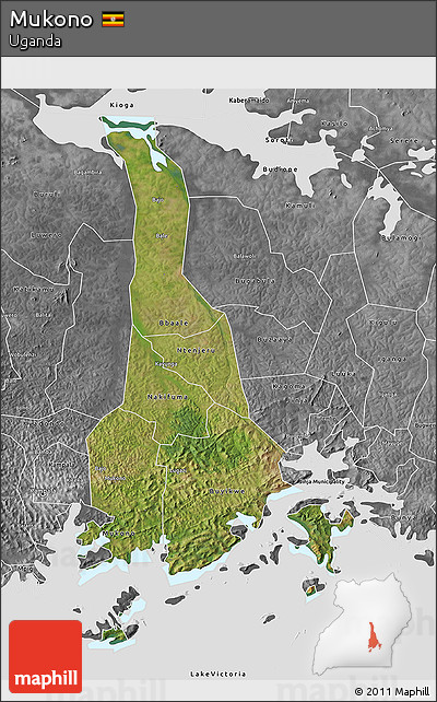 Satellite 3D Map of Mukono, desaturated