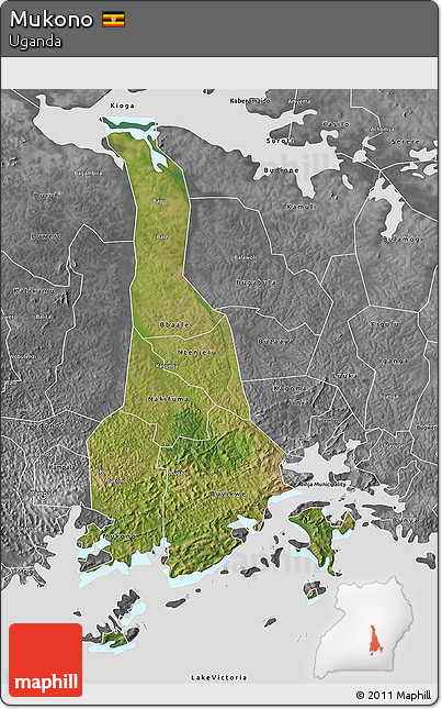 Satellite 3D Map of Mukono, desaturated