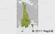 Satellite Map of Mukono, lighten, desaturated