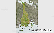 Satellite Map of Mukono, semi-desaturated