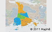 Political Panoramic Map of Mukono, lighten, semi-desaturated