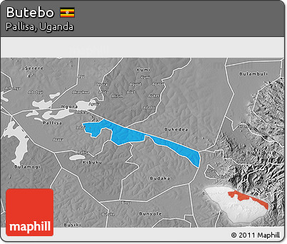 Political 3D Map of Butebo, desaturated