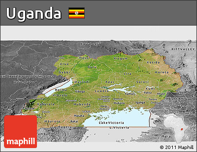 Satellite Panoramic Map of Uganda, desaturated
