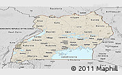 Shaded Relief Panoramic Map of Uganda, desaturated