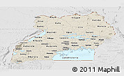 Shaded Relief Panoramic Map of Uganda, lighten, desaturated