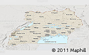 Shaded Relief Panoramic Map of Uganda, lighten, semi-desaturated