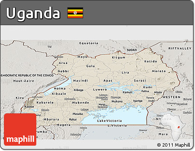 Shaded Relief Panoramic Map of Uganda, semi-desaturated