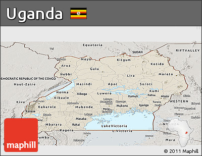 Shaded Relief Panoramic Map of Uganda, semi-desaturated