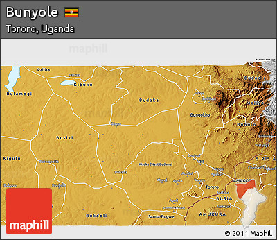 Physical 3D Map of Bunyole