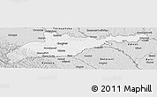 Silver Style Panoramic Map of Chernivets'ka