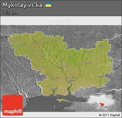 Satellite 3D Map of Mykolayivs'ka, desaturated