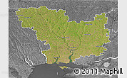 Satellite 3D Map of Mykolayivs'ka, desaturated