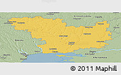 Savanna Style Panoramic Map of Mykolayivs'ka