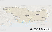 Shaded Relief Panoramic Map of Mykolayivs'ka, lighten