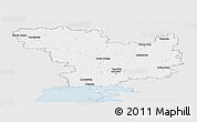 Silver Style Panoramic Map of Mykolayivs'ka, single color outside
