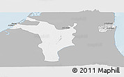 Gray Panoramic Map of Shariqah, single color outside