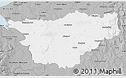 Gray Map of Cheshire County