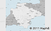 Gray Map of Devon County