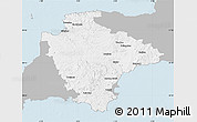 Gray Map of Devon County, single color outside