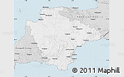 Silver Style Map of Devon County