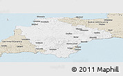 Classic Style Panoramic Map of Devon County