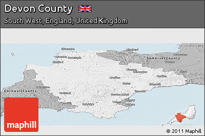 Gray Panoramic Map of Devon County