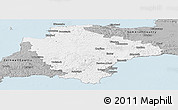 Gray Panoramic Map of Devon County