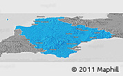 Political Panoramic Map of Devon County, desaturated