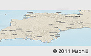 Shaded Relief Panoramic Map of Devon County