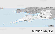 Gray Panoramic Map of South West