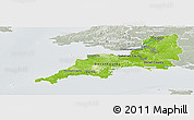 Physical Panoramic Map of South West, lighten, semi-desaturated