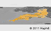 Political Shades Panoramic Map of South West, darken, desaturated