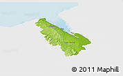 Physical 3D Map of Flintshire - Sir Y Fflint, single color outside