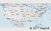 Silver Style 3D Map of United States