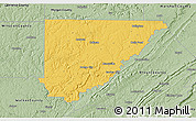 Savanna Style 3D Map of Cullman County