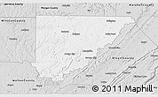 Silver Style 3D Map of Cullman County