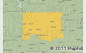 Savanna Style Map of Elmore County
