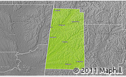 Physical 3D Map of Lamar County, desaturated