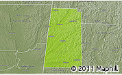 Physical 3D Map of Lamar County, semi-desaturated