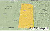Savanna Style 3D Map of Lamar County