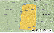 Savanna Style 3D Map of Lamar County