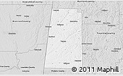 Silver Style 3D Map of Lamar County