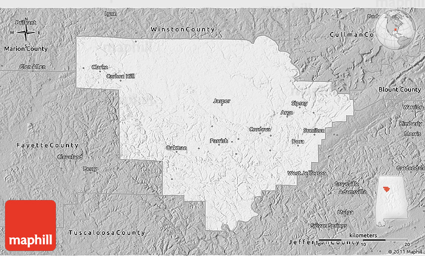 Gray 3D Map of Walker County