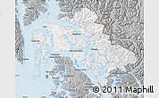 Gray Map of Wrangell-Petersburg Census Area