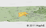 Savanna Style Panoramic Map of ZIP code 85743